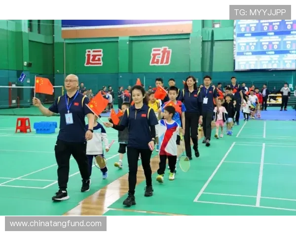 南京羽毛球队转型之路的挑战与机遇全景揭秘