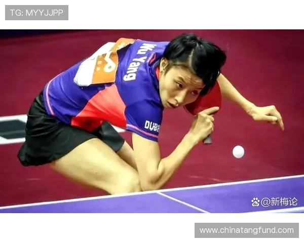 南京乒乓球队进攻策略解析与深度剖析乒乓球技术的奥秘与魅力